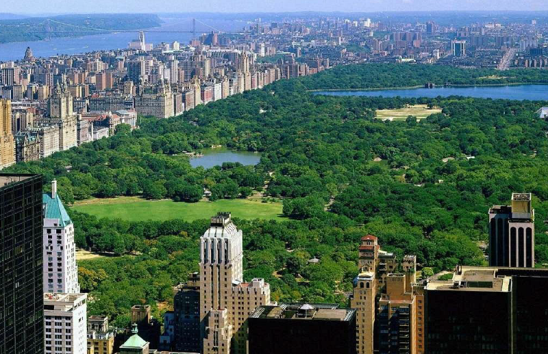 skyline of buildings on a park